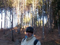 Obraz 18